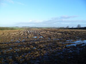 Saturated Empty Farm Field